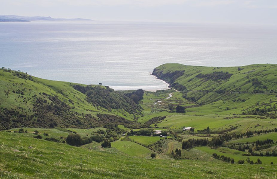 Whareakeake (Murdering Beach), Dunedin, New Zealand